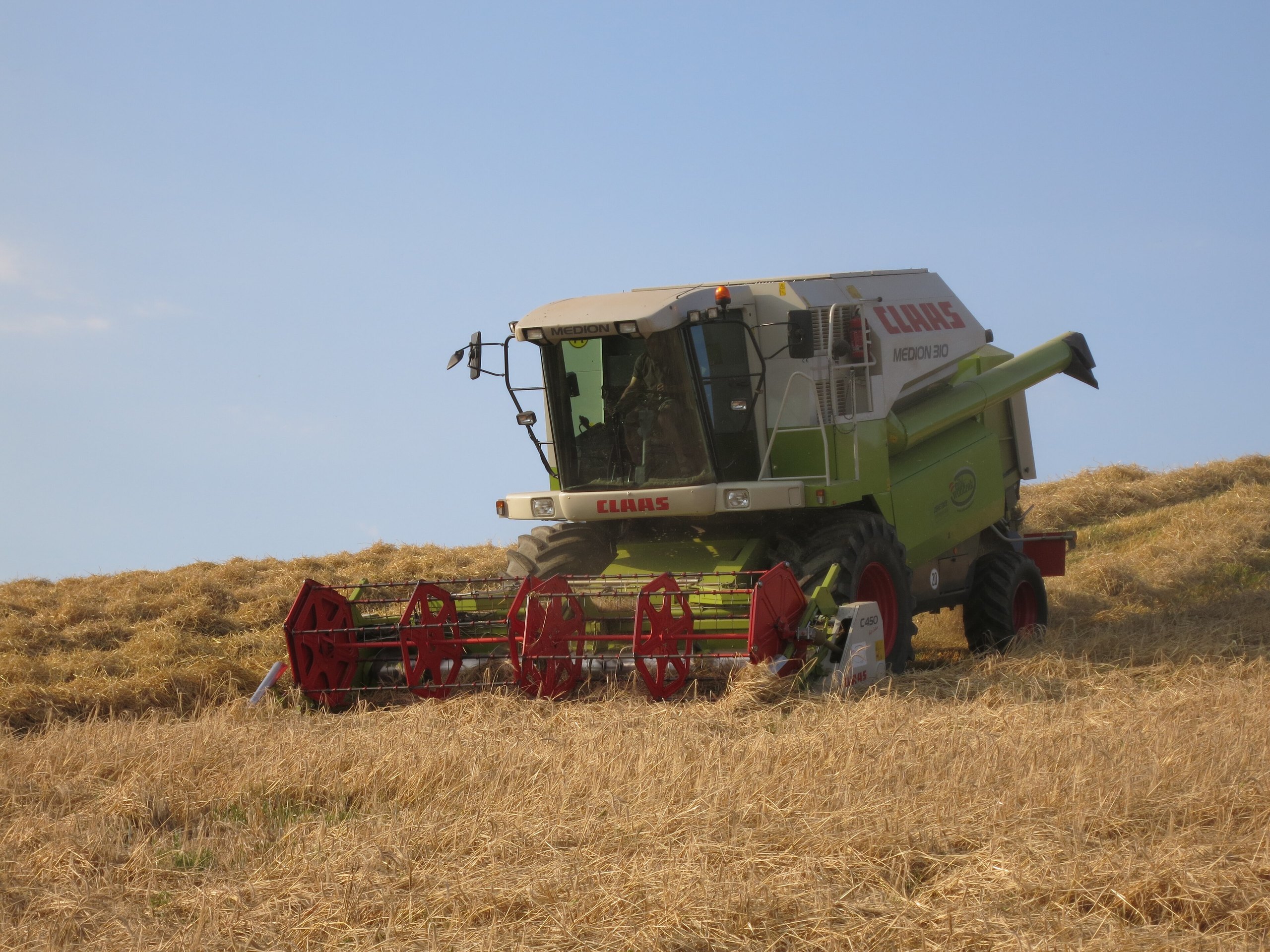 Combine harvester harvesting a wheat field